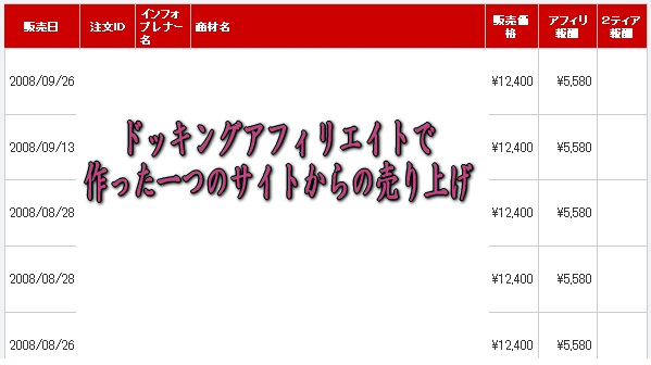 ドッキングアフィリエイトサイトでの売り上げ